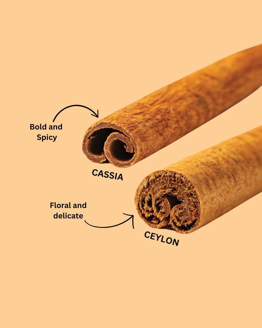 Getting to Know Cinnamon - Organic Spice Shop
