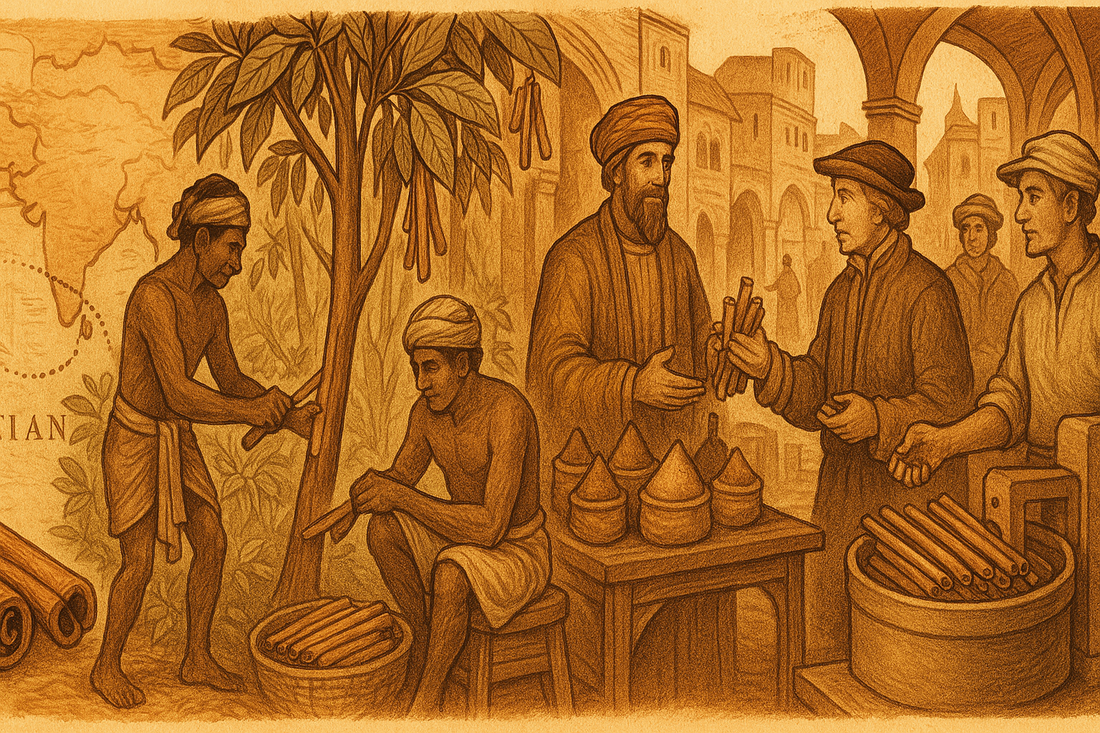 Cinnamon and history
