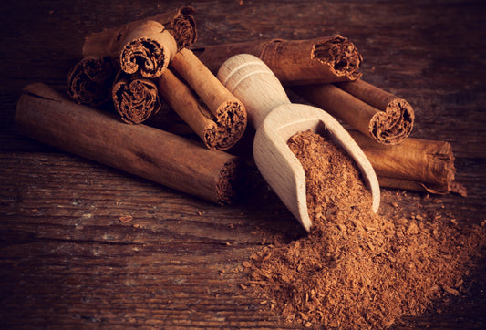 Ceylon Organic Cinnamon: The Golden Spice of Sri Lanka - Organic Spice Shop