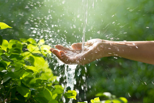 Why World Water Day Should Inspire Your Spice Purchases - Organic Spice Shop