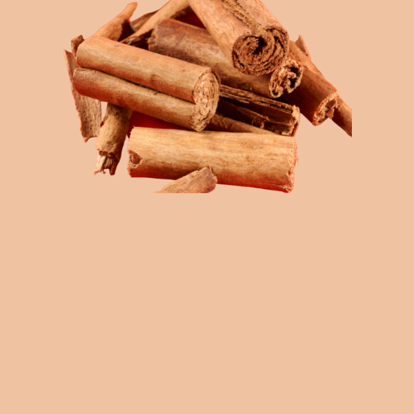 Ceylon Cinnamon Sticks – True Organic Spice from Sri Lanka - Organic Spice Shop