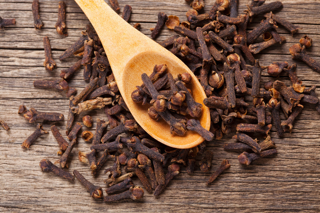 Ceylon Organic Cloves: The Aromatic Jewel of Sri Lanka